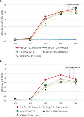 PEGylated Domain I of Beta-2-Glycoprotein I Inhibits Thrombosis in a Chronic Mouse Model of the Antiphospholipid Syndrome